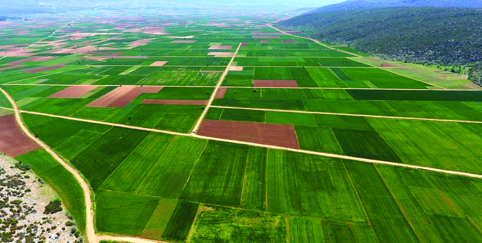 Arazi Toplulaştırma ve